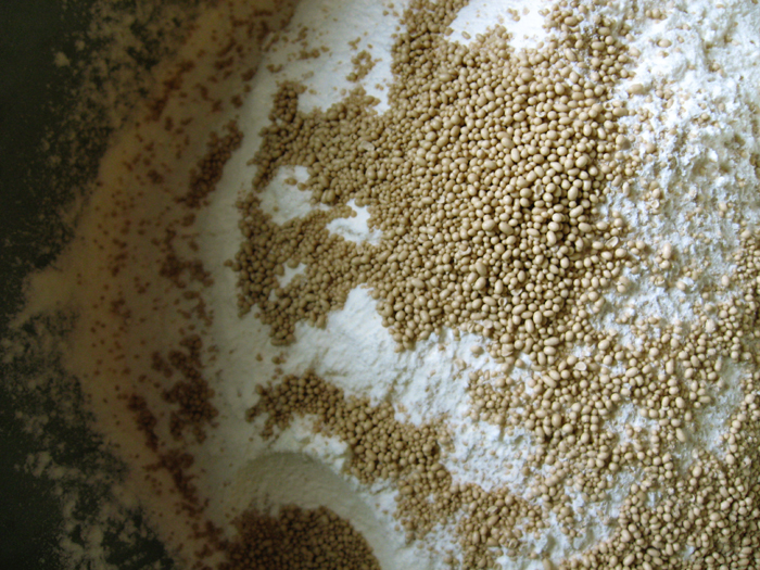 The Dangers of Yeast Living Theology John B. MacDonald