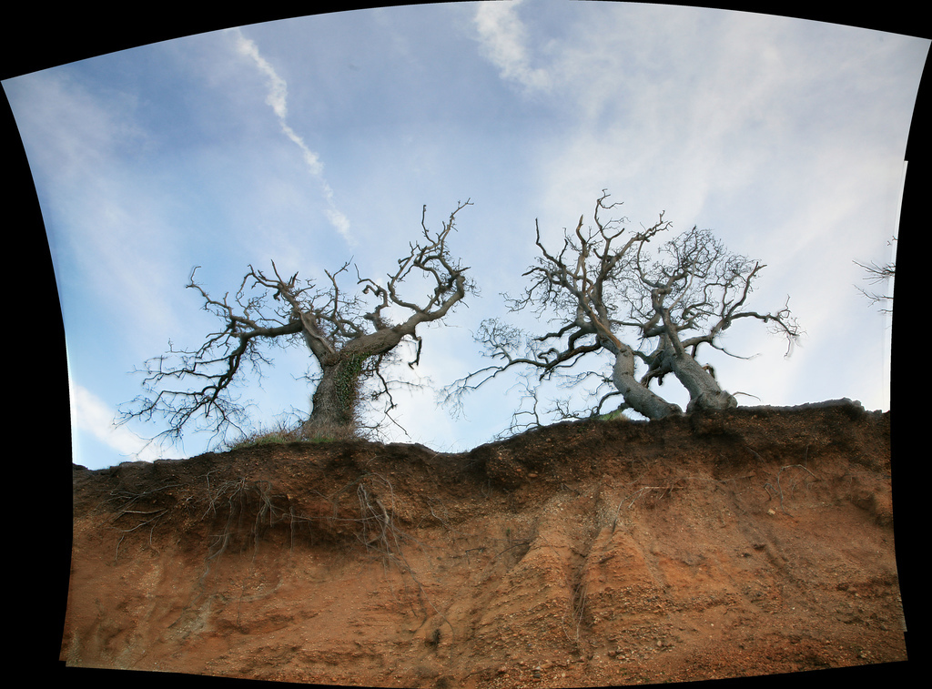 Slideshow image